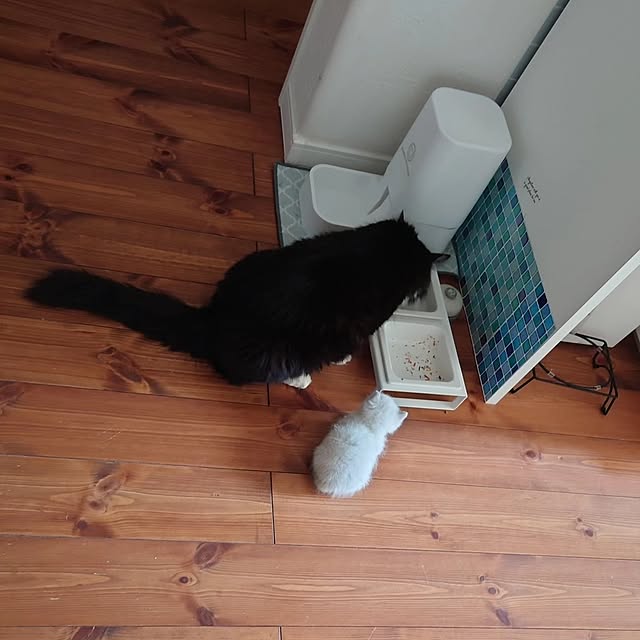 yukaさんの実例写真