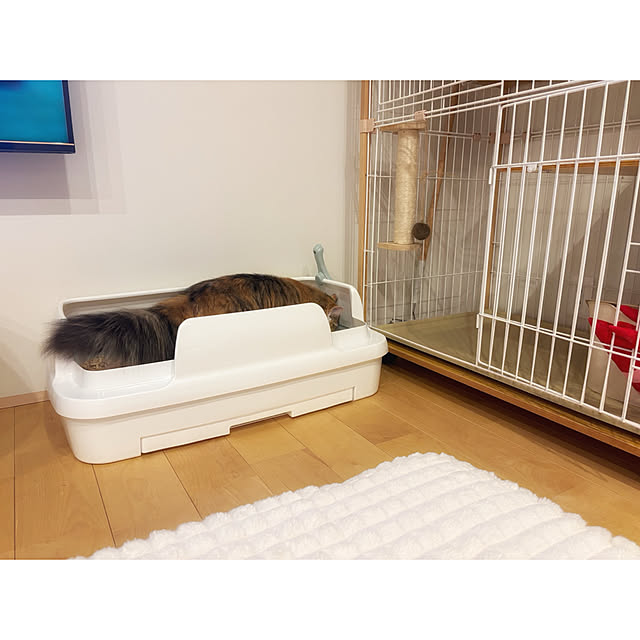 darakoさんの実例写真