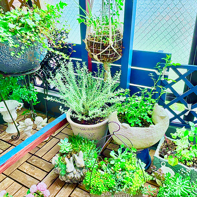 naokoさんの実例写真