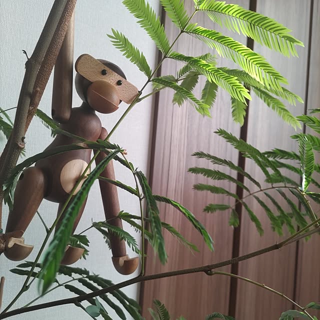 momoさんの実例写真