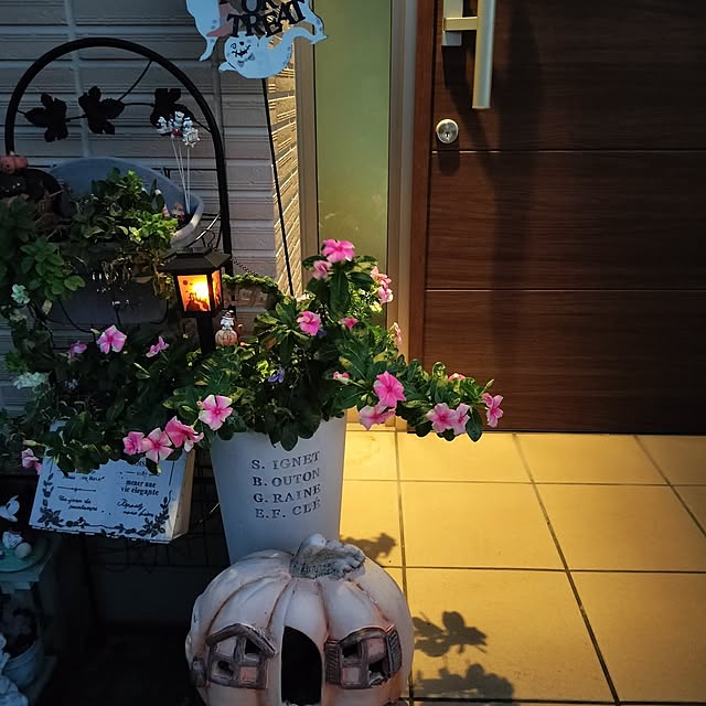 kurumi08さんの部屋
