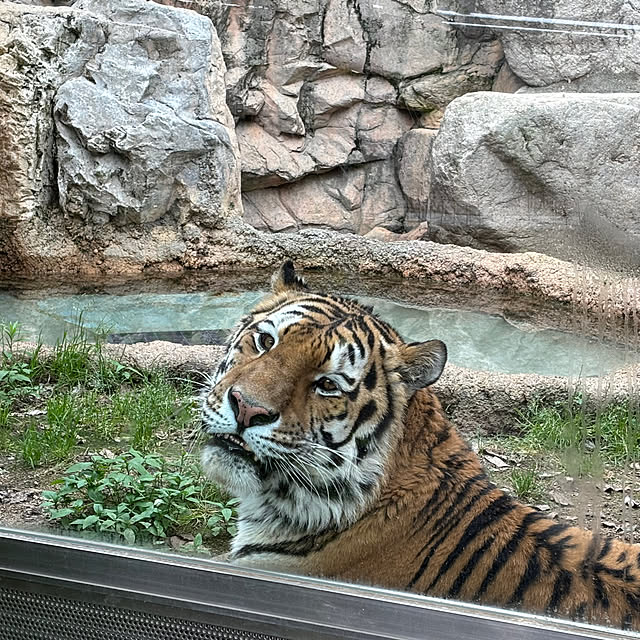 naokoさんの部屋