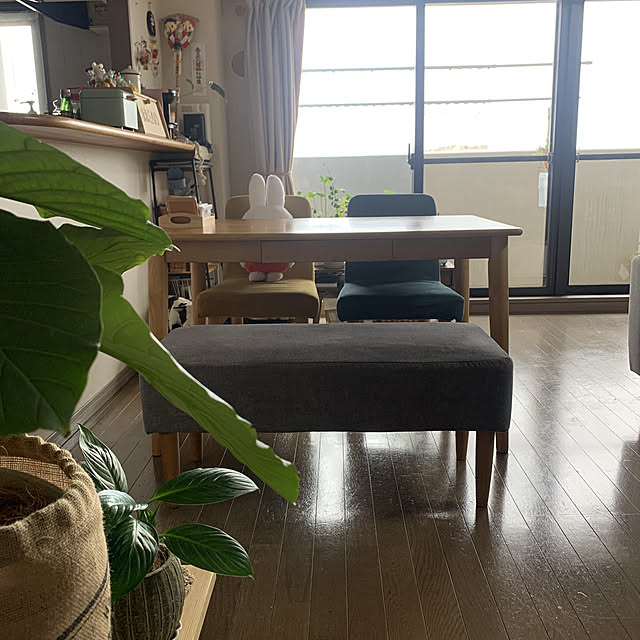 JUNさんの実例写真