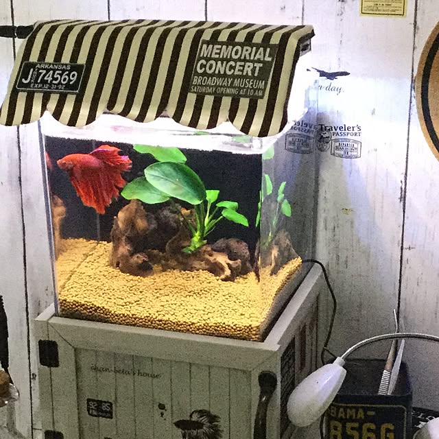 yujinさんの実例写真