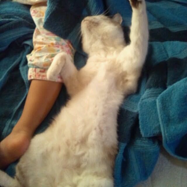 kanamaiさんの実例写真