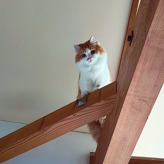 yukaさんの実例写真