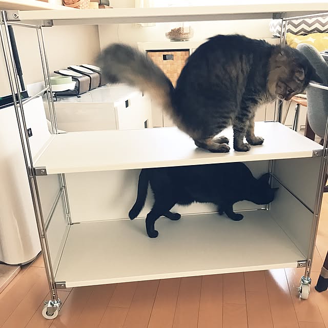 yuki0511さんの実例写真