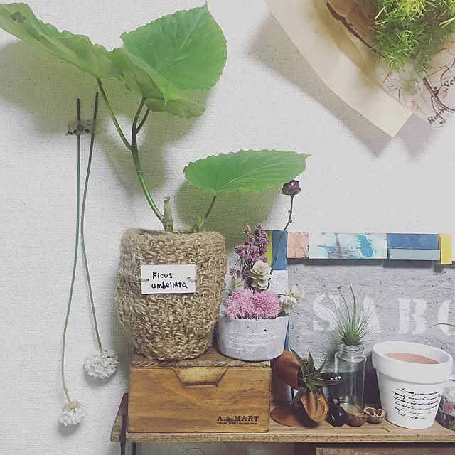 MaruLorettaさんの実例写真