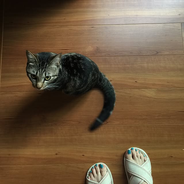 RIN5さんの実例写真