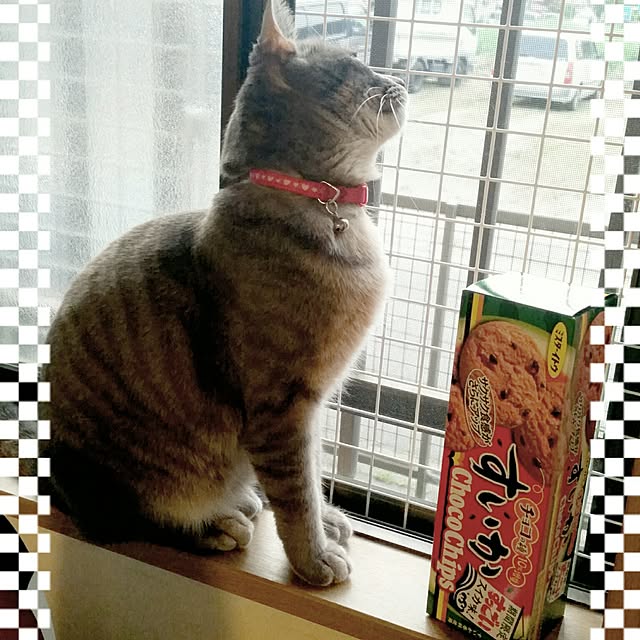 oyumiさんの実例写真