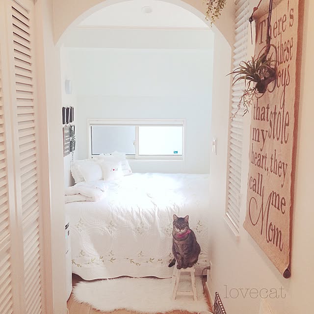 lovecatさんの実例写真