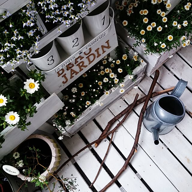 M_house_officialさんの実例写真