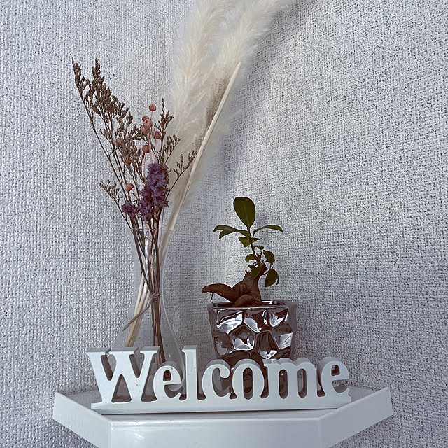 観葉植物/雑貨/100均/ナチュラル/ドライフラワー...などのインテリア実例 - 2022-04-07 11:33:03
