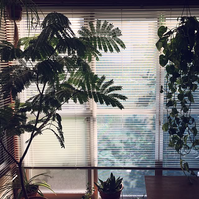 kaothe390さんの実例写真