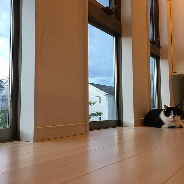 kojimasaさんの部屋