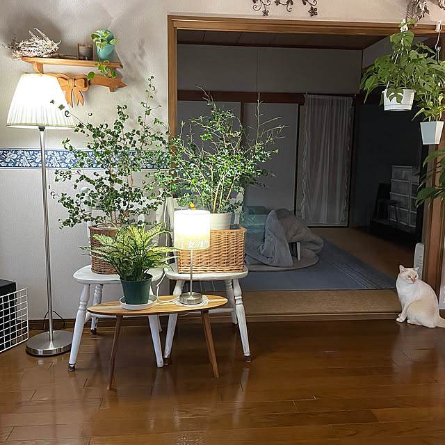 himetanさんの実例写真