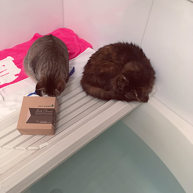 mikomaruさんの実例写真