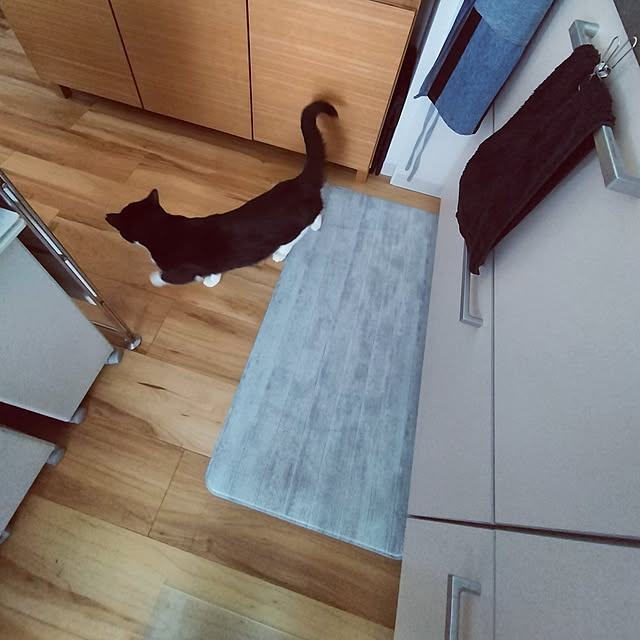 hihaさんの実例写真