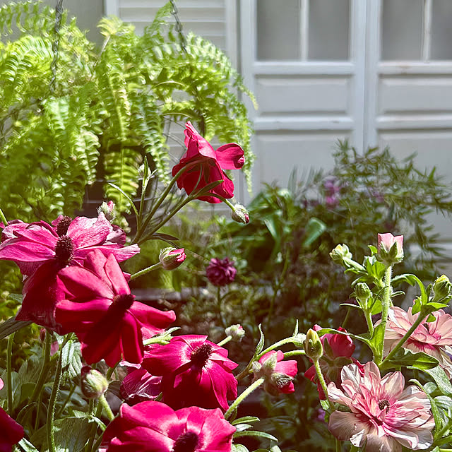 DAYONEさんの実例写真