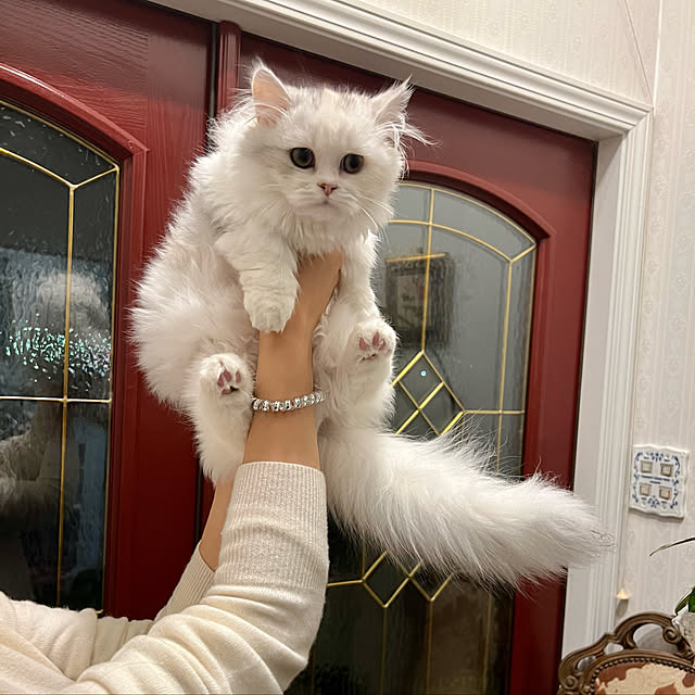 AYUKOさんの実例写真