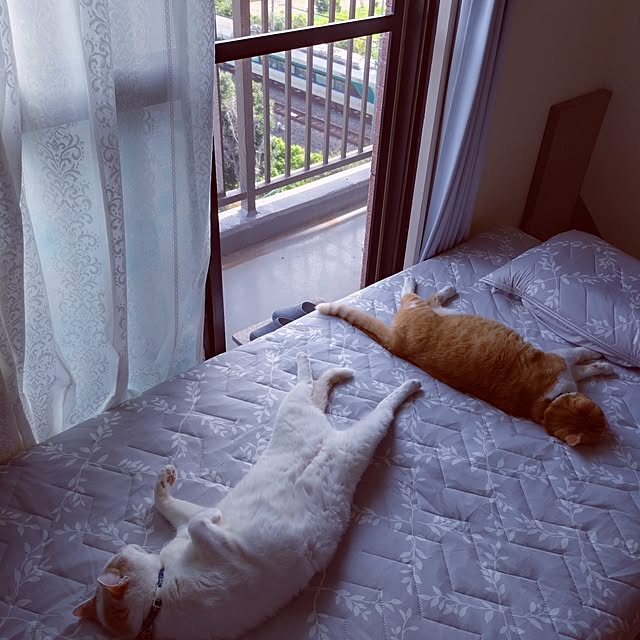 NOAHさんの部屋