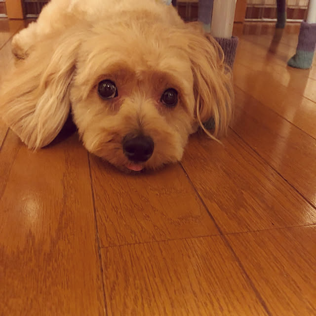 hiroyumeさんの実例写真
