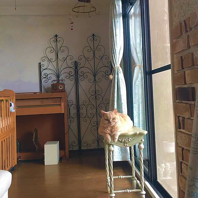 naokoさんの実例写真