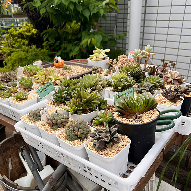 yumiさんの部屋