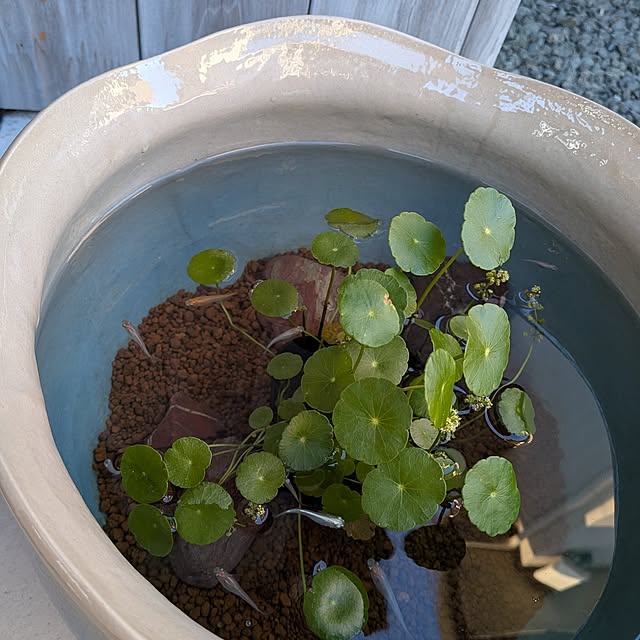 Eri-iiさんの実例写真