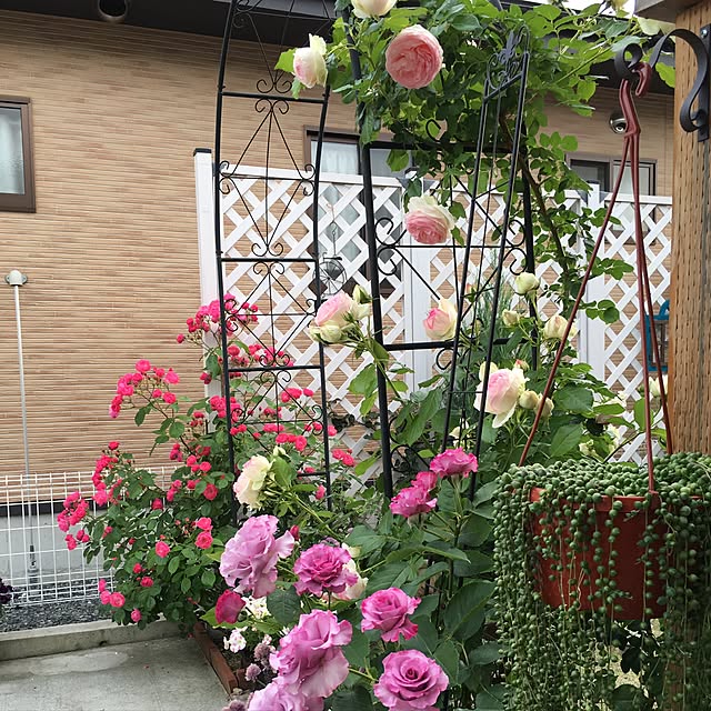 hirokoさんの実例写真