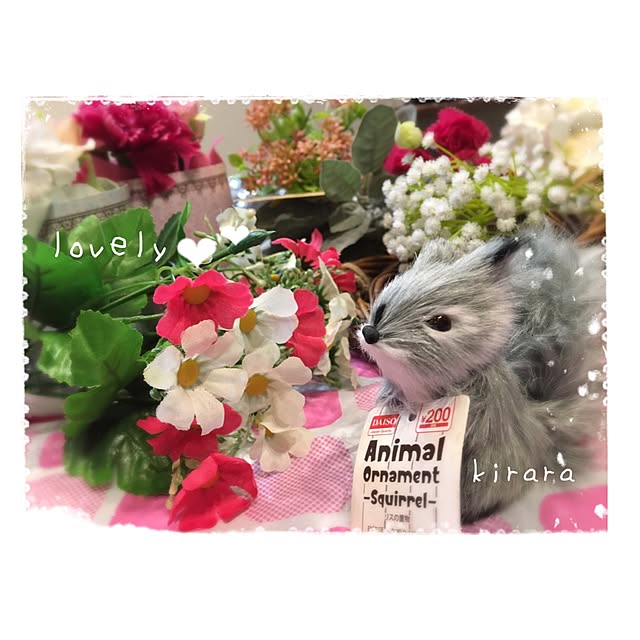 kiraraさんの実例写真