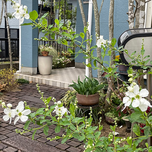 nobikoさんの実例写真