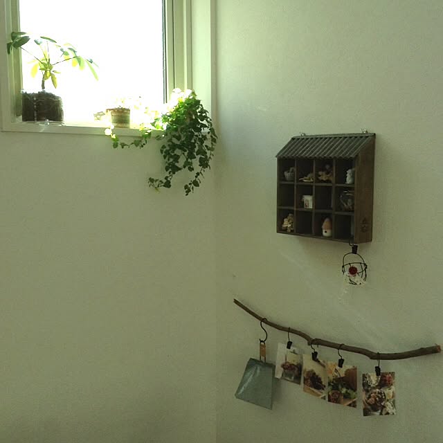 chocolateさんの実例写真