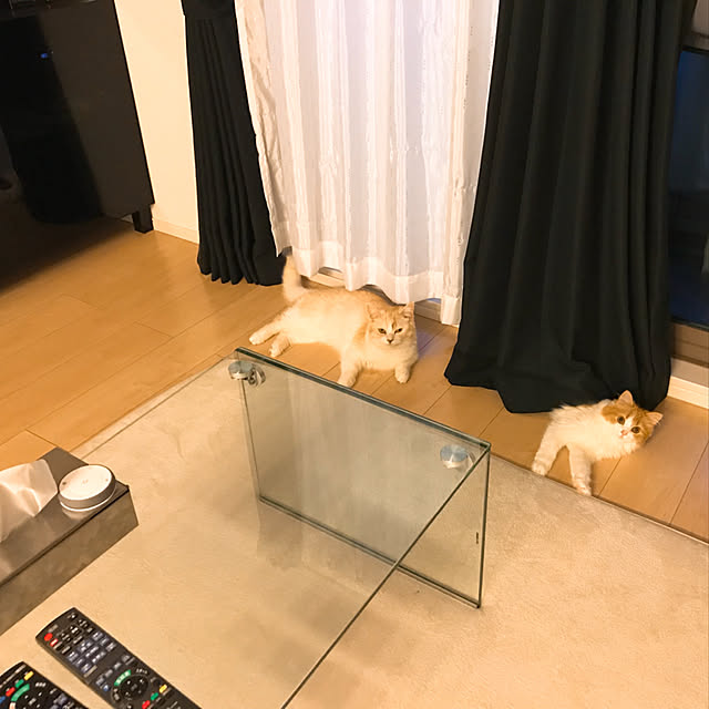 H.Tさんの実例写真