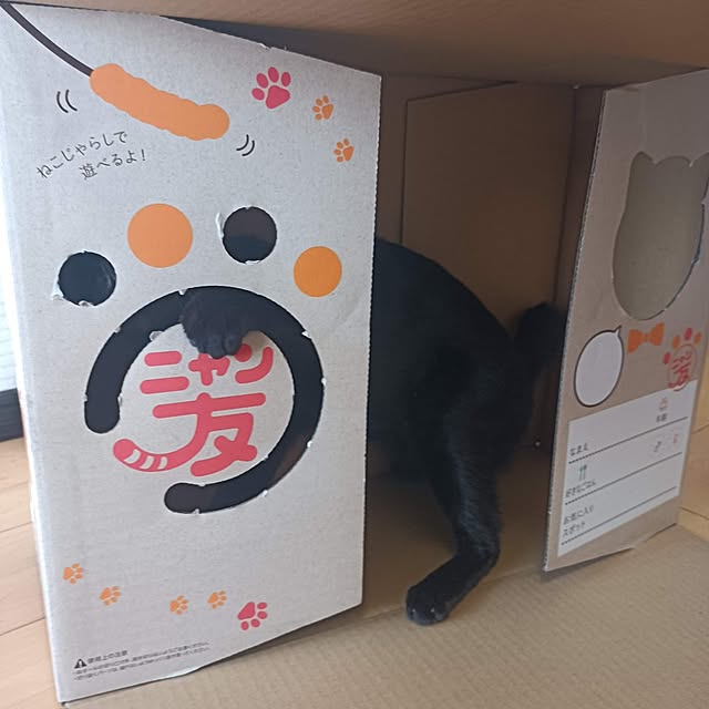 anayoikoさんの部屋