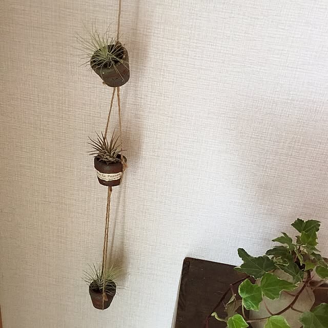 rookuさんの実例写真
