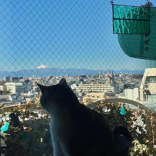 emmyyさんの実例写真