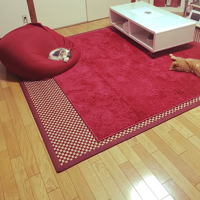 実例写真