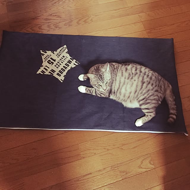Manamiさんの実例写真