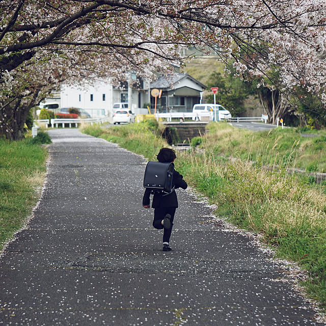 実例写真