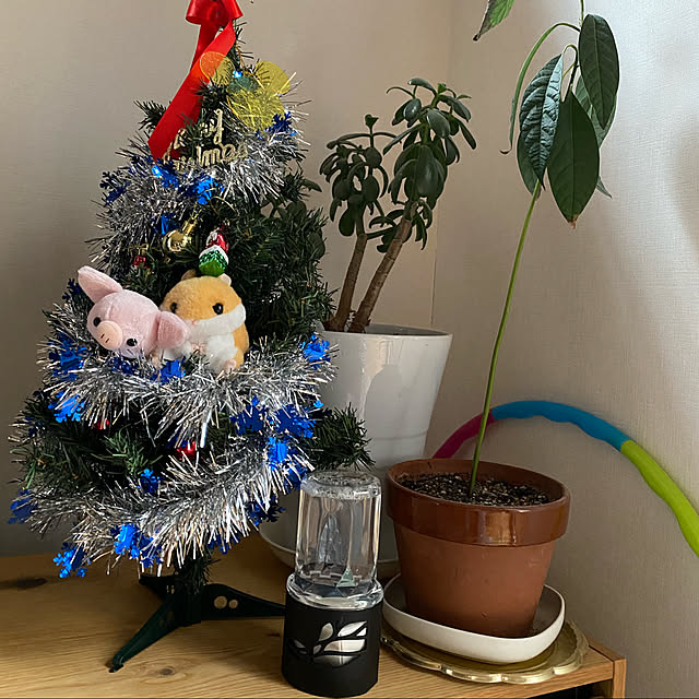 k_dinoさんの実例写真