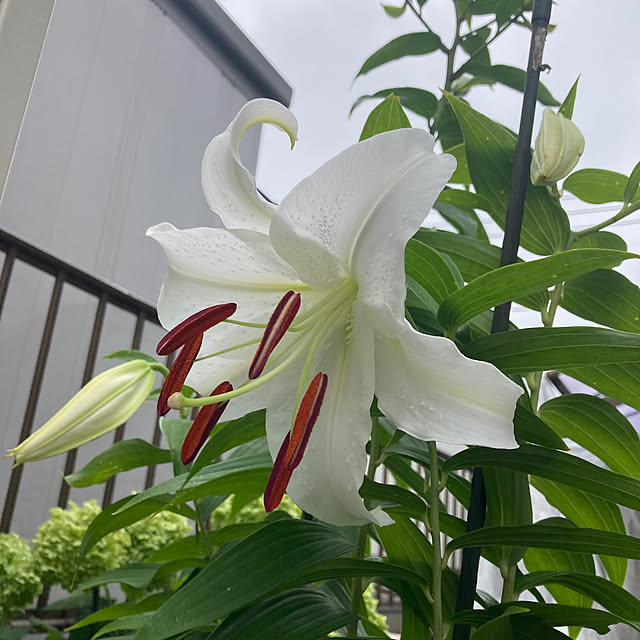 mamaさんの実例写真