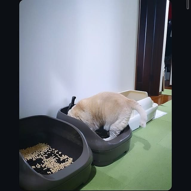 mntcさんの部屋