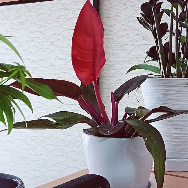 hanachanさんの部屋