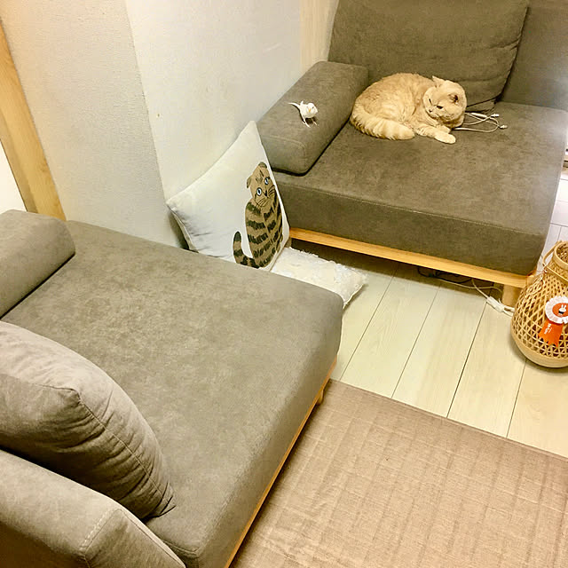 naokoさんの実例写真