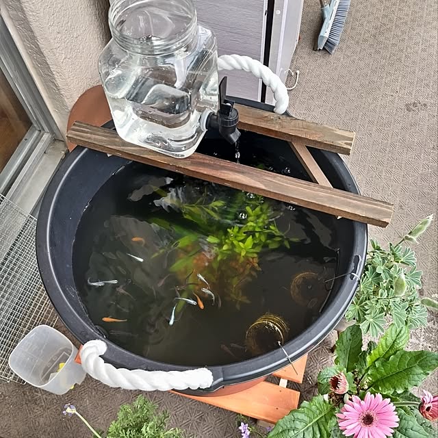 mi-saさんの実例写真