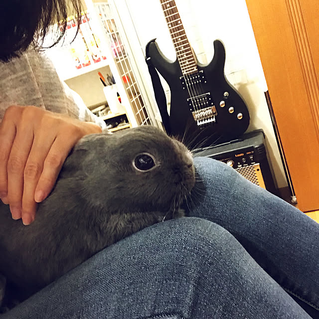 mamisazさんの実例写真