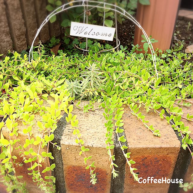 CoffeeHouseさんの部屋