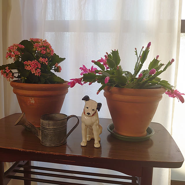 fukuさんの実例写真