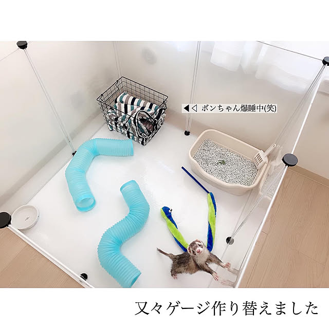 chaluさんの実例写真